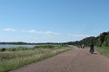 IMG_0910_edited-1